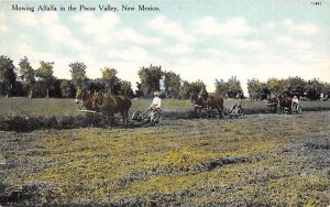 Mowing Alfalfa Pecos Valley, New Mexico NM Postcards
