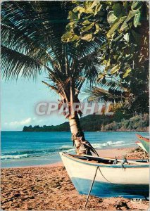 Postcard Modern West Indies Bright beach fishermen