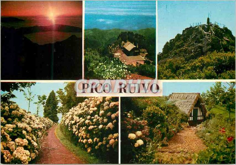 Modern Postcard Madeira