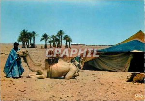 Modern Postcard Scenes and Types of Morocco before the maimah the nomad tent ...