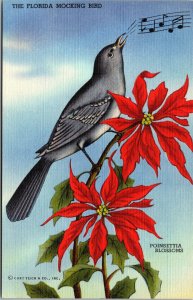 Vtg 1940s Florida Mocking Bird Poinsetta Blossoms FL Unused Linen Postcard