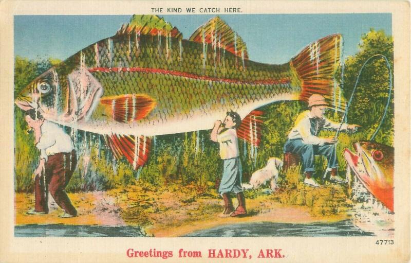 Greetings from Hardy, AR, Giant Fish The kind we catch here 1951 Postcard