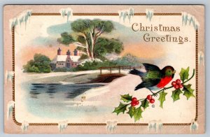 Christmas Greetings, Bird, Holly, Rural Winter Scene, Antique 1916 Postcard