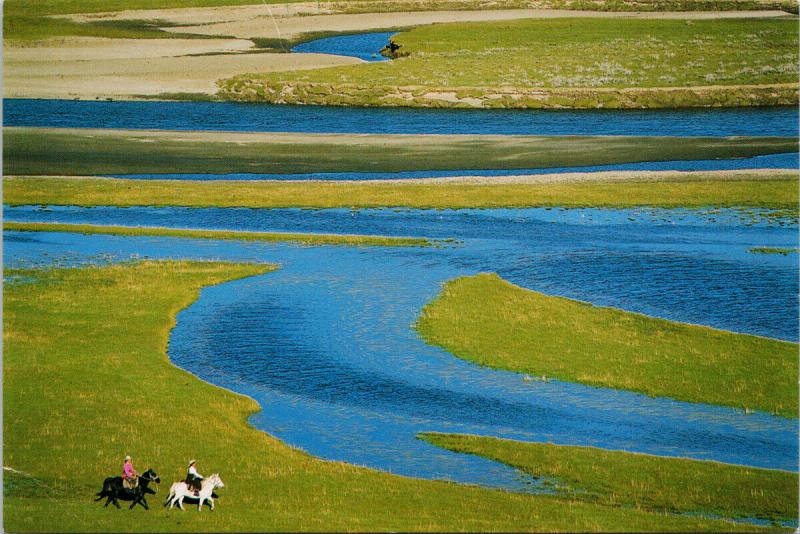 Horses Song of Grassland Sichuan China Hai Feng Pub Unused Postcard F6