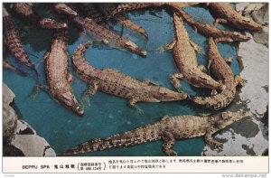 Alligators , Beppu Spa , Japan , 1910s