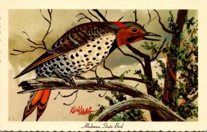 Birds Yellowhammer Alabama State Bird