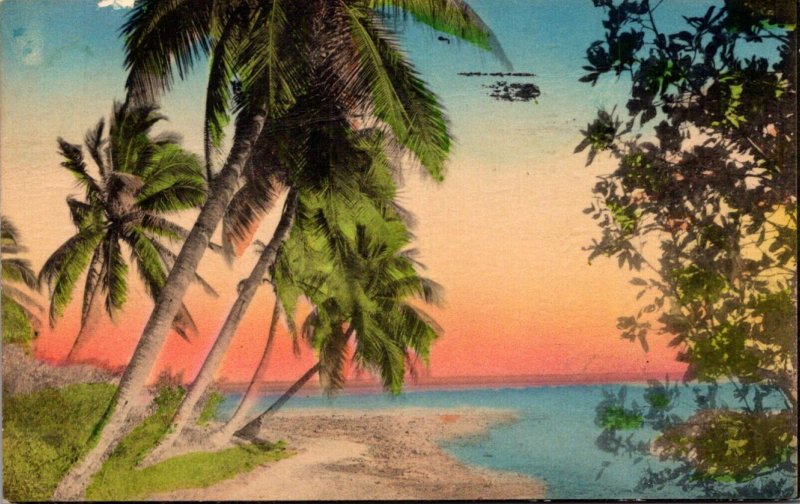 Florida Beautiful Coastline View Handcolord 1936