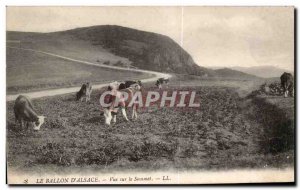 Old Postcard The Ballon d'Alsace View Cows Summit