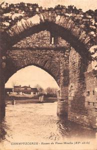 BF5129 champtoceaux ruines du vieux moulin france     France