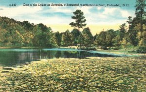 Lakes in Arcadia Beautiful Residential Suburb Columbia SC Vintage Postcard c1930