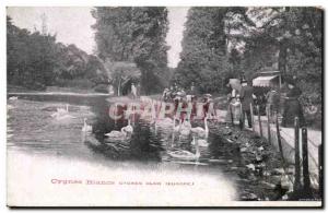 Old Postcard White swans Clor Europe Marne Swan