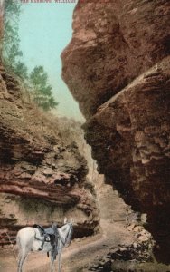 Vintage Postcard 1908 Narrows White Horse Trail Path Williams Canon Colorado CO