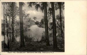 Ormond Florida Ormond Drives Causeway c1900-20s Vintage Postcard