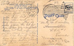 The SaUSA ge Tree Miami, Florida