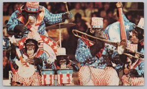 Barnum & Baileys Circus~Ringling Bros~Monkeying Around In Band~PM 1907 Postcard