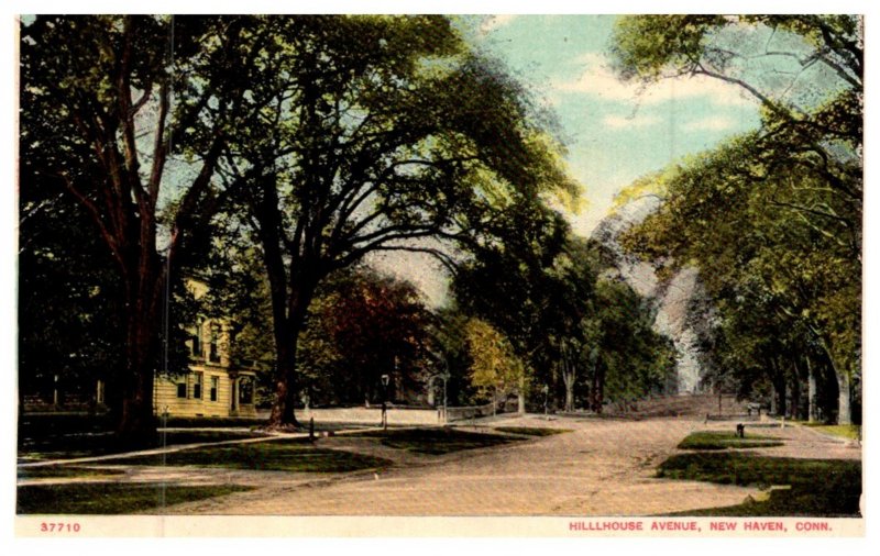 Connecticut New Haven ,  Hillhouse Avenue