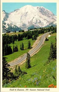 Road Sunrise Mt Rainier National Park Washington WA Postcard UNP WOB Note VTG 