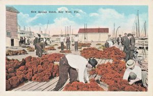 KEY WEST FLORIDA~NEW SPONGE CATCH~ANTIQUE VINTAGE POSTCARD