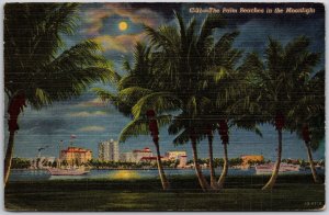 Florida FL, 1951 The Famous Palm Beaches In The Moonlight, Vintage Postcard