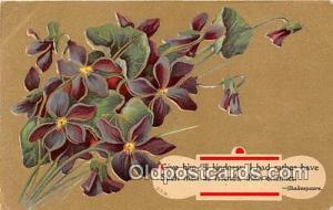  Shakespeare Postcard Post Card Kindness