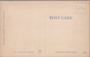 Winding Road In The Pocono Mountains Pennsylvania Linen Postcard  C101