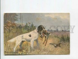 473056 MULLER Mueller HUNT English Setter WOODCOCK Hare Vintage postcard #330