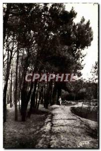 Bretignolles sur Mer - La Foret des Dunes - Old Postcard