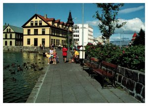 Postcard Iceland Reykjavik - Park lake children feeding ducks