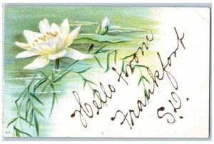 Frankfort South Dakota SD Postcard Hello Water Lily Flower 1909 Vintage Antique