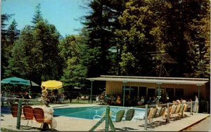 Whispering Pine Resort Motel Miranda California CA Swimming Pool Postcard VTG 