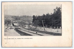 1907 View Of Mast Hope PA, Looking West Including Grove Posted Antique Postcard