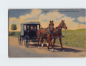 Postcard Amish Going to Market, Pennsylvania 