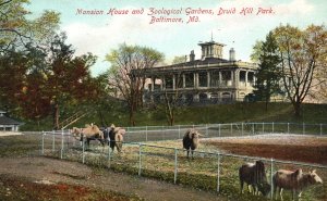 Vintage Postcard 1909 Mansion House Zoological Gardens Druid Hill Park Baltimore