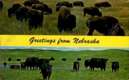 Greetings from Nebraska - Misc  