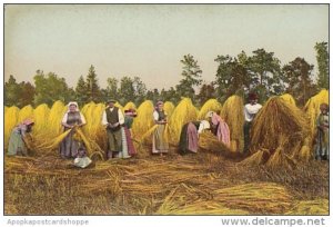 European Farmers In Hay Field