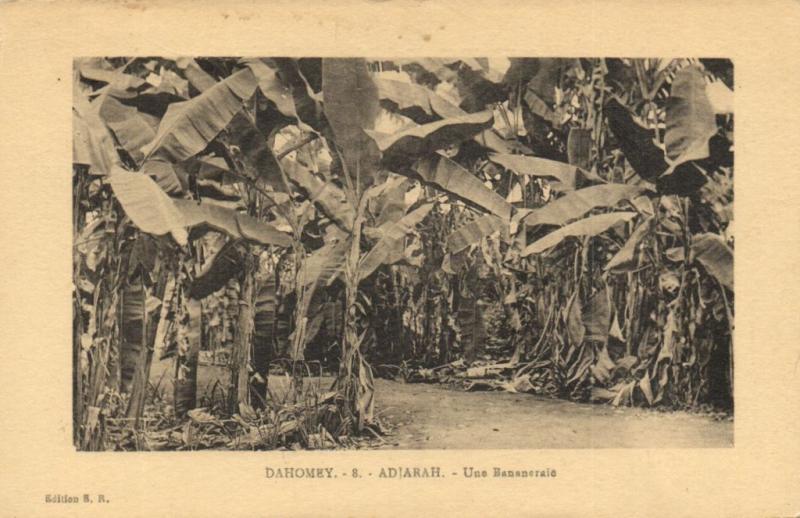 CPA Dahomey Afrique -  Adjarah - Une Bananeraie (86760)
