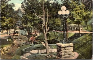 Postcard WV Newell - The Coon Pit Newell Park