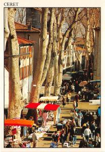 BR15965 La Marche Ceret  France