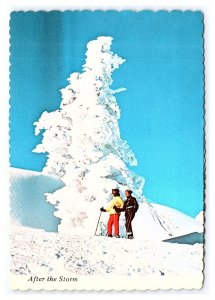 After The Storm Snow Skiing In Idaho High Country Continental View Postcard