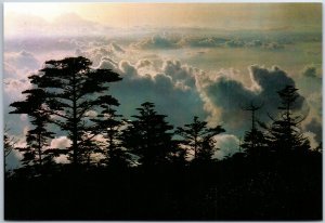 VINTAGE CHINA ILLUSTRATED MAXIMUM POSTCARD SICHUAN SCENERY MOUNT EMEI CLOUDS