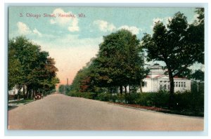 c1910 South Chicago Street Kenosha Wisconsin WI Unposted Antique Postcard 