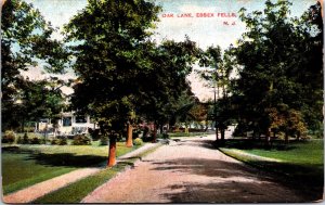 USA Oak Lane Essex Fells New Jersey Vintage Postcard 03.58