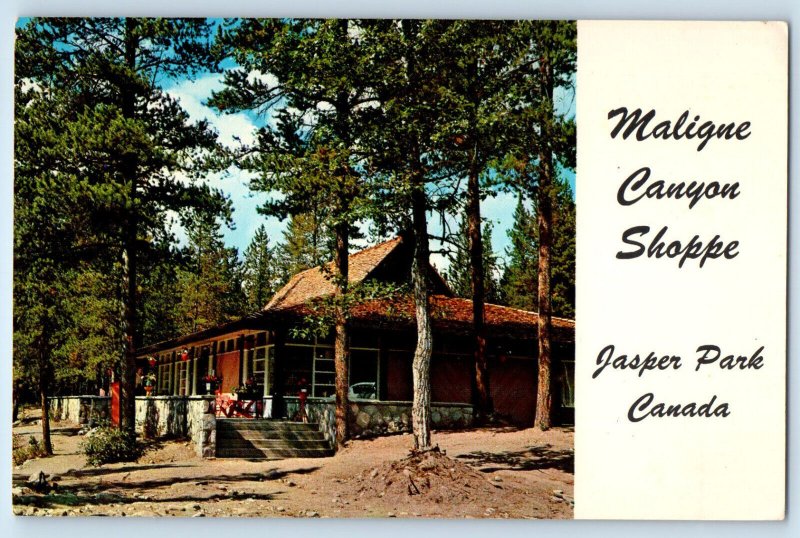 Jasper Park Alberta Canada Postcard Maligne Canyon Shoppe 1964 Posted