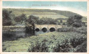 BR63047 boxhill dorking surrey   uk