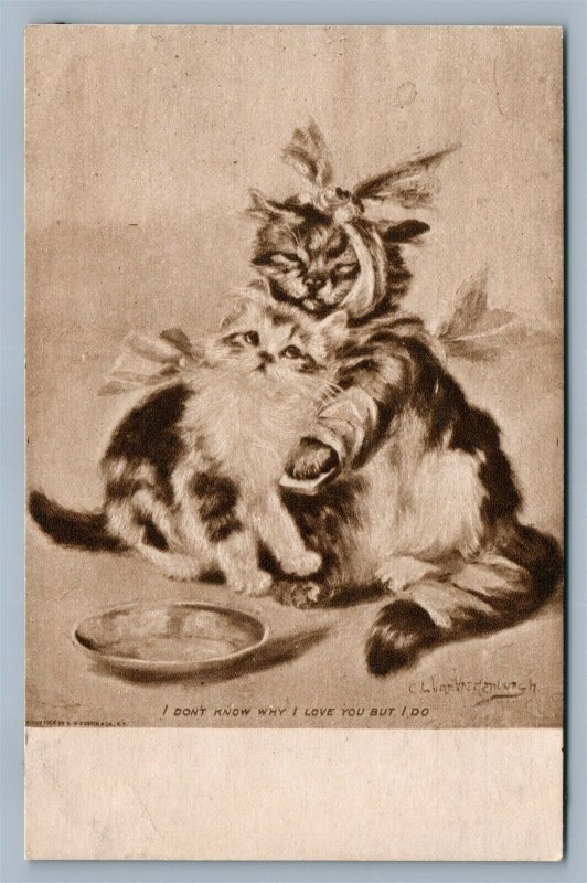 CAT w/ TOOTHACHE ARTIST SIGNED ANTIQUE POSTCARD