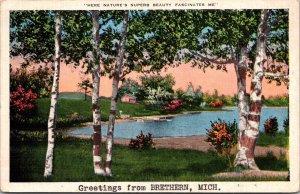 Scenic View, Greetings from Brethren MI Vintage Postcard U78