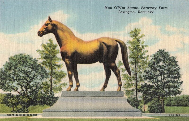 Man O' War Statue Faraway Farm Lexington Ky. Linen Postcard 2R4-595 