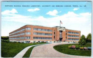 PEORIA, Illinois  IL   NORTHERN REGIONAL RESEARCH LABORATORY c1940s   Postcard