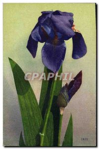 Old Postcard Fantasy Flowers Iris