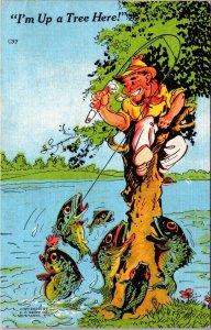 Humour Fishing I'M Up A Tree Here!  1950